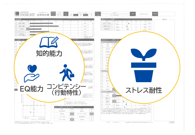 アドバンテッジインサイトの診断内容
